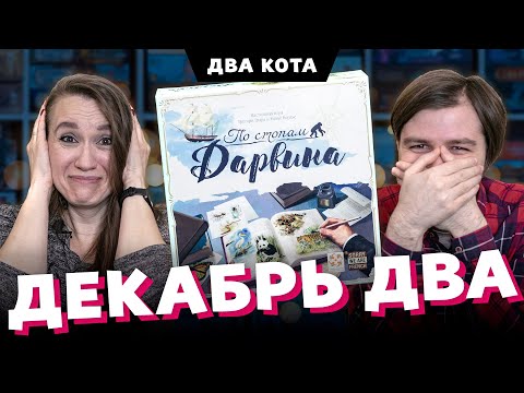 Видео: Лоскутный Виварий и Динокости / Новинки клуба