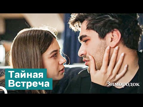 Видео: Я Нашел Утешение В Объятиях Любви | Зимородок