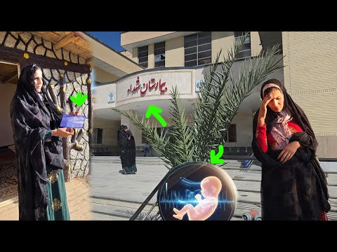 Видео: Шива в шаге от родов! Документальный фильм о суровой жизни кочевников