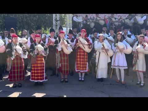 Видео: 101 каба гайди, 101 bagpipes, beautiful music