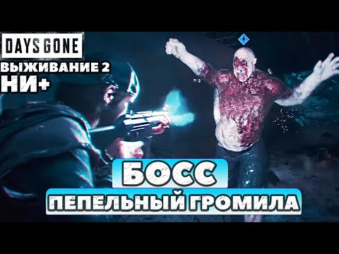 Видео: БОСС ПЕПЕЛЬНЫЙ ГРОМИЛА! Оружие Swat 10 NERO! ✅Days Gone(Жизнь После). Выживание 2. НИ+.