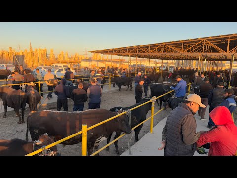 Видео: БЕРУНИЙ ХУКИЗ БОЗОРИ 1 КИСМ 05.10.2025