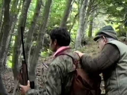 Видео: Лов на мечки 03