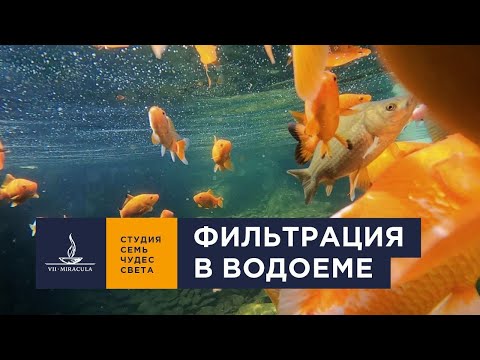 Видео: Очистка ВОДОЕМОВ. Способы фильтрации воды. Скиммеры и биоплато.