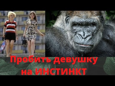 Видео: Как ПРОБИТЬ девушку НА ИНСТИНКТ