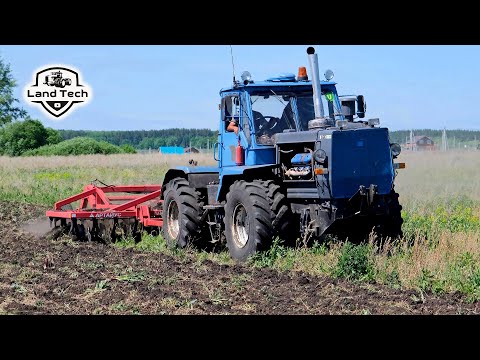 Видео: Трактор Т-150К с дисковой бороной БДМ-4х4П Артайус - обработка заросшего поля на глубину 12 см!