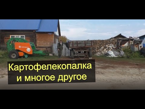 Видео: Про #копалку и картошку. Деревня окунево #урожай.