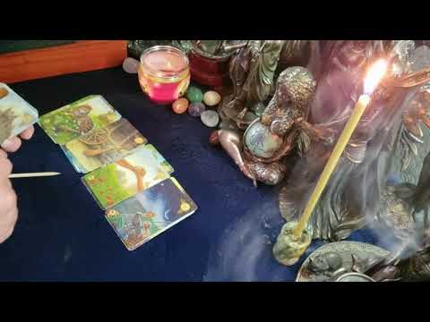 Видео: ЧИСТКА + ВРАГИ 🪄🍀🪃👿🪦💣