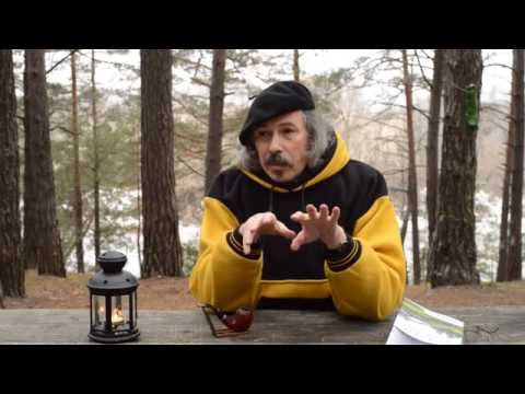 Видео: Евгений Штейнер о совместности и раскрытии себя