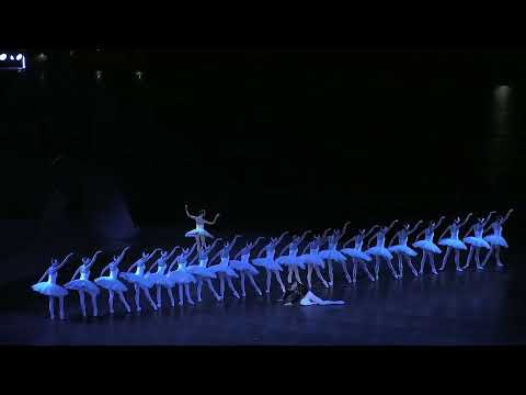 Видео: ЛЕБЕДОВО ЕЗЕРО - ПАНЧАРЕВО, Фрагмент