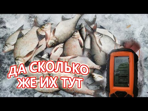 Видео: СЕГОДНЯ КЛЕВАЛО ТОЛЬКО В ЭТОЙ ЛУНКЕ\Рыбалка в Казахстане