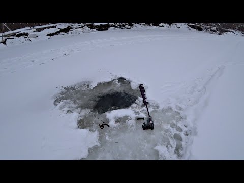 Видео: ПРОВАЛИЛСЯ ПОД ЛЁД НА РЕКЕ! Рыбалка на опасной реке превратилась в выживание!