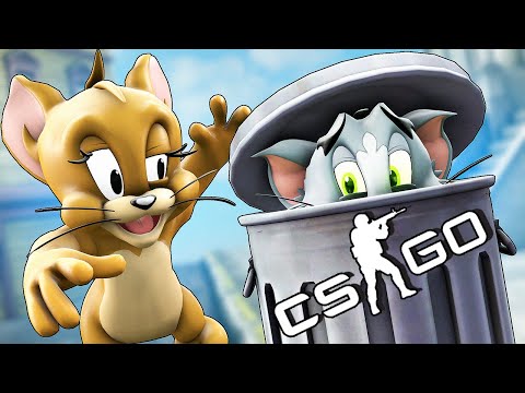Видео: ТРОЛЛЬ МЕСТО НА КАРТЕ - ТРОЛЛЬ ПРЯТКИ В ДОМЕ CS:GO!!!