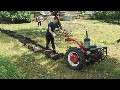 Видео: Распашка целины мотоблоком под клубнику !!!