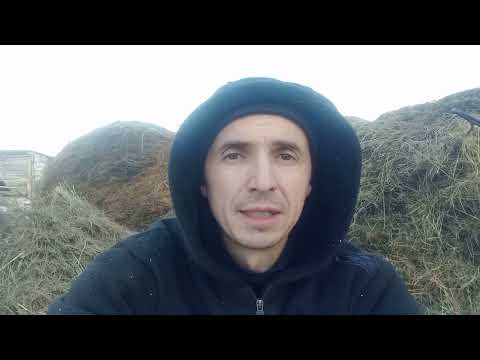 Видео: Сколько катушек сена надо на одну корову?