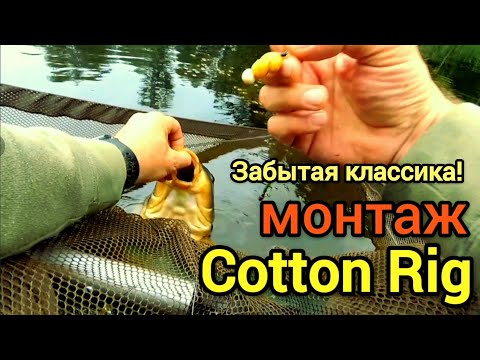 Видео: Карповый монтаж Cotton Rig! Забытая классика! 