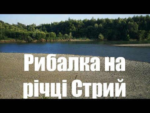 Видео: Рибалка на річці Стрий.