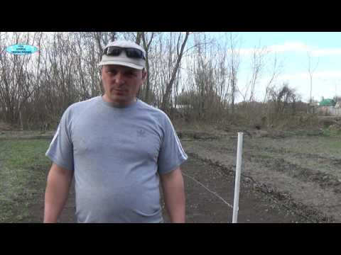 Видео: ПРАВИЛЬНЫЙ ПОЛИВ И ПОДКОРМКА МАЛИНЫ