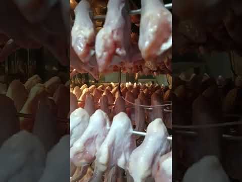 Видео: Ищу минусы в коптильне от ИП Федотов А.В. Обзор коптильни.