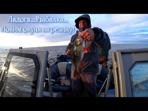 Видео: Ладога/Осень/Окунь на резину