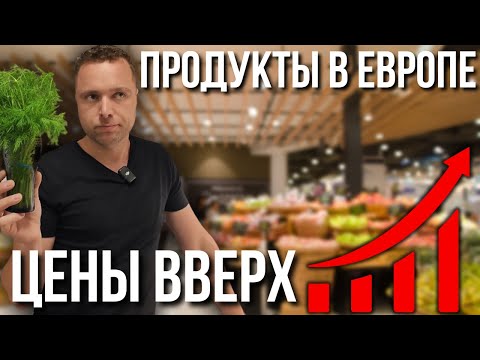 Видео: ВСЕ ДЕНЬГИ УХОДЯТ НА ЕДУ. АВСТРИЯ