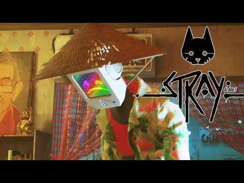 Видео: #2 РОБОТ МОМО ● Stray | Прохождение без комментариев | PS5