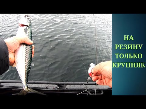 Видео: Этого мы не ожидали. Наше спасение и рыбалка в Норвегии 2025. Огромная скумбрия на резину.