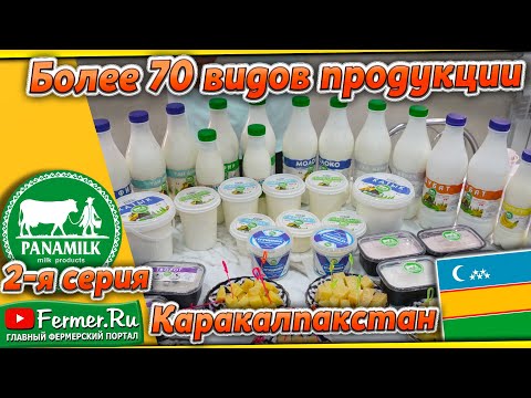 Видео: Какой у вас вкус детства? Творог с изюмом или тан с райханом? Натуральная молочка из Узбекистана
