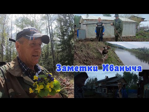 Видео: Новый ключ, Шаманские кроты