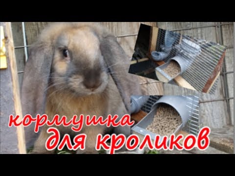 Видео: МОЙ ВЫБОР КОРМУШКИ ДЛЯ КРОЛИКОВ | КАК СДЕЛАТЬ |