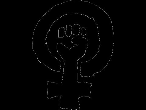 Видео: Шадов уничтожает феминистку Богданову!