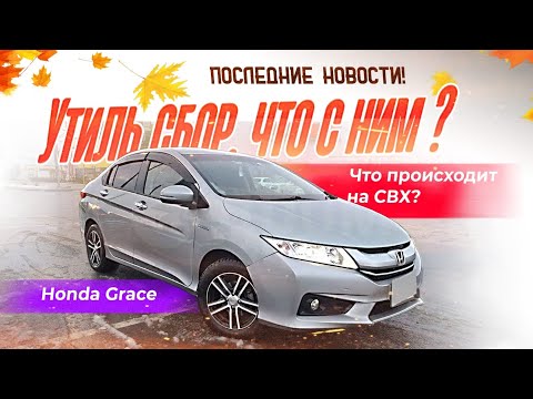 Видео: 🤔 Honda Grace сколько стоит сегодня? Утиль сбор и 1 декабря.  Обстановка на СВХ и другие новости!