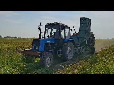 Видео: Копаєм картоплю. Трактор Мтз 920 + картопляний комбайн Anna.