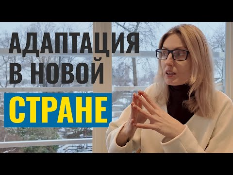 Видео: Адаптация в новой стране - от медового месяца до депрессии