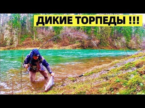 Видео: ЗИМНИЕ ТОРПЕДЫ - СТАЛЬНАЯ ГОЛОВА. РЫБАЛКА В США НА ПРИЗОВУЮ РАДУЖНУЮ ФОРЕЛЬ. STEELHEAD FISHING.