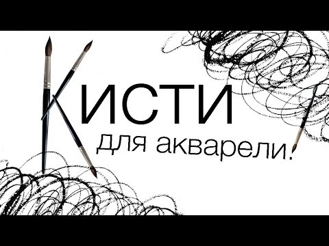 Видео: КИСТИ ДЛЯ АКВАРЕЛИ!