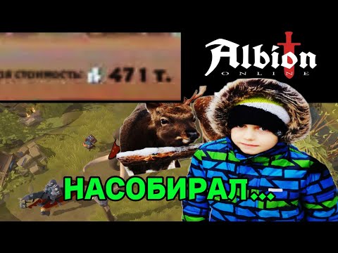 Видео: СКОЛЬКО ЗАРАБОТАЕТ НОВИЧОК за 12 ЧАСОВ на СОБИРАШКЕ | Albion Online