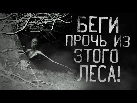 Видео: БЕГИ ПРОЧЬ ИЗ ЭТОГО ЛЕСА! Страшные истории на ночь.Страшилки на ночь.