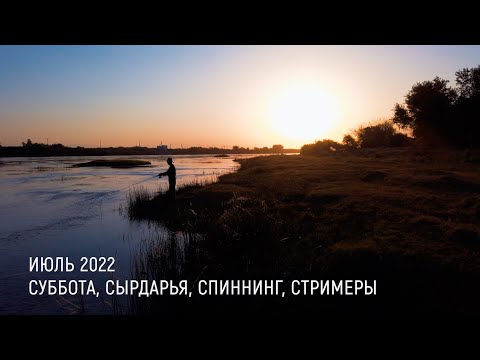 Видео: ПО ПЕРЕКАТАМ В ПОИСКАХ СЫРДАРЬИНСКОГО ЖЕРЕХА: Рыбалка в Узбекистане со спиннингом.