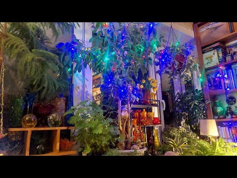 Видео: влог - хэллоуиновский поход в секонд