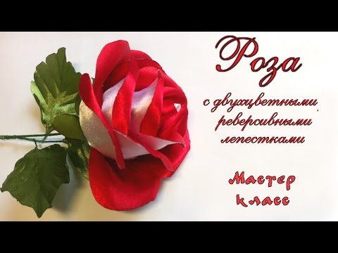 Видео: Роза #канзаши из атласной ленты с двухцветными лепестками МК. Rose of satin ribbon dual-color petals