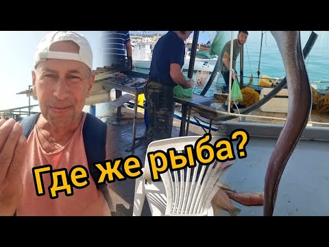 Видео: Где рыба? Рыбный рынок цены Ретимно Крит 2024