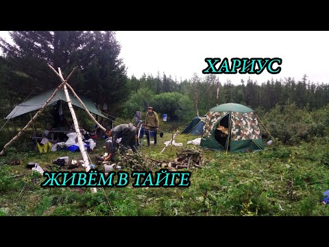 Видео: РЫБАЛКА В  ТАЙГЕ. ПРИПОЛЯРНЫЙ УРАЛ. Bushcraft ( # 5/6 )