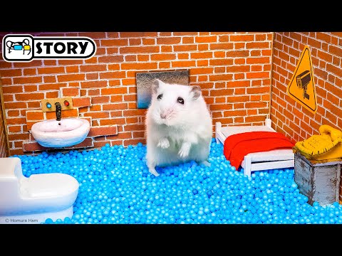 Видео: Лучшие Испытания для Хомяка 3 - Хомяк сбегает из Самых Удивительных Лабиринтов 🐹 Хомура Хам Питомцы