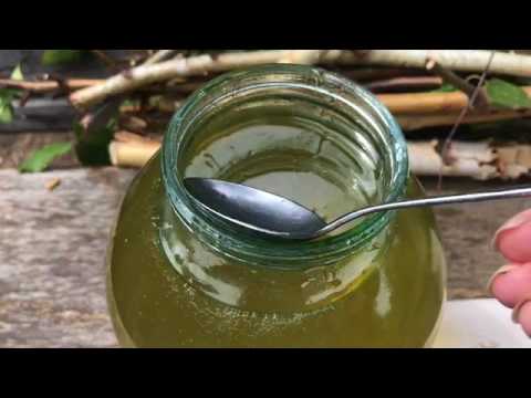 Видео: Как проверить жидкий мёд? Пасека Гатуповых Видеообзор акациевого Меда