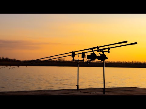 Видео: Почему не клюет КАРП? Исправили ошибку и пошла жара! Рыбалка на карпа Весной 2022. Водоем Каневской.