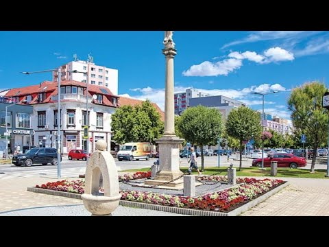 Видео: Обзор хуманы, сдача бутылок, магазины 