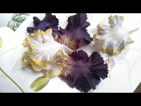 Видео: Ретроспектива моих ирисов. A retrospective of my irises.