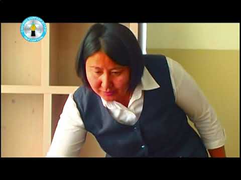 Видео: "Эрдмийн өргөө миний сургууль" НЕБ-н 106-р сургууль