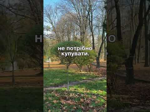 Видео: Що потрібно жінці